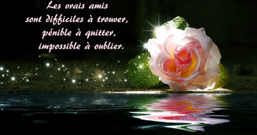 Aperçu de la carte : « Une citation sur les vrais amis, difficiles à trouver et impossibles à oublier... »