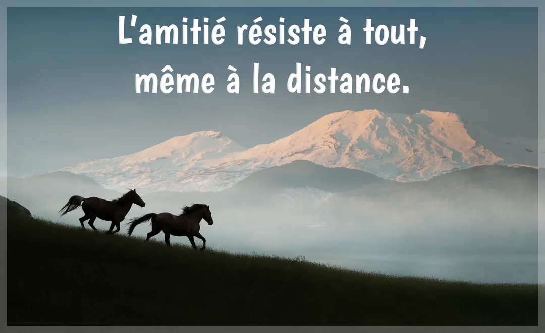 En silhouette, deux chevaux courent sur une colline herbeuse, devant un paysage de montagnes brumeuses aux sommets enneigés sous un ciel clair.