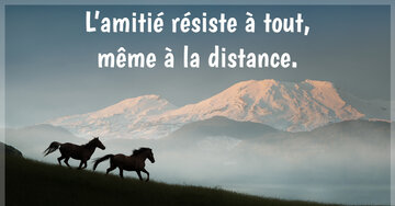 Aperçu de la carte : L'amitié résiste à tout,
même à la distance.
