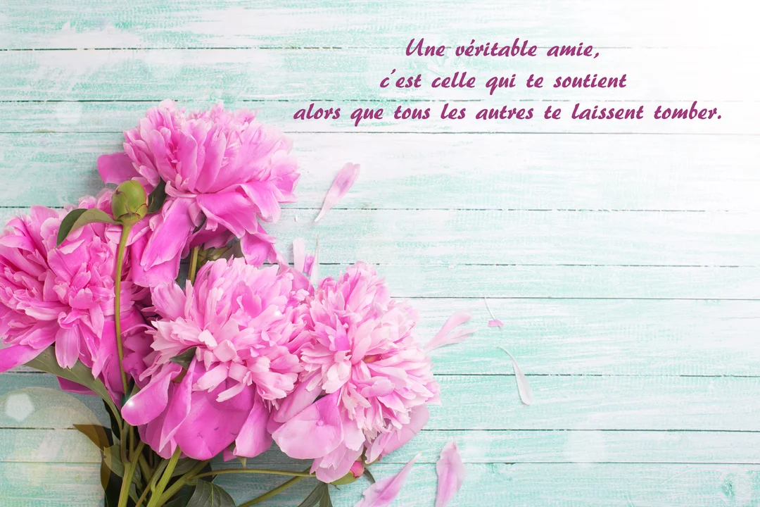 Un bouquet de pivoines roses est posé sur des planches de bois turquoise, à côté d'une citation sur l'amitié écrite en violet.