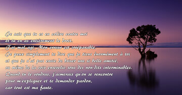 Aperçu de la carte : « Je sais que tu es en colère... J'ai mal agi et j'aimerais te demander pardon... »