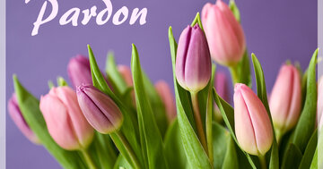 Aperçu de la carte : Pardon
