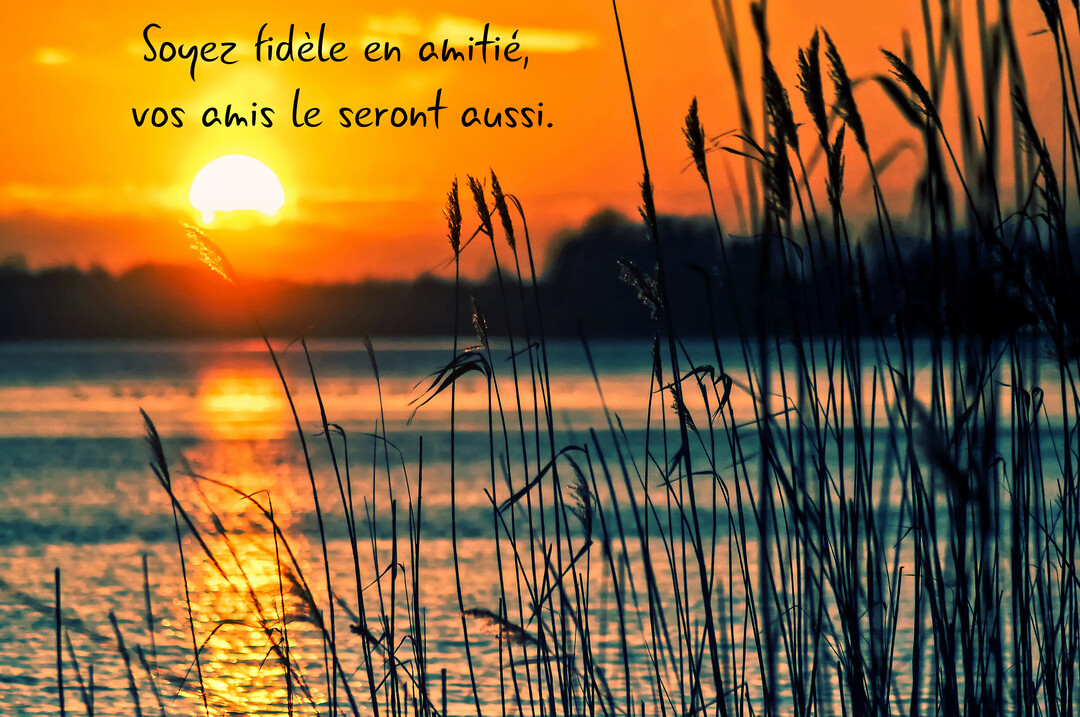 Un paysage de coucher de soleil orange sur un lac, avec des silhouettes de roseaux au premier plan et une citation sur l'amitié.