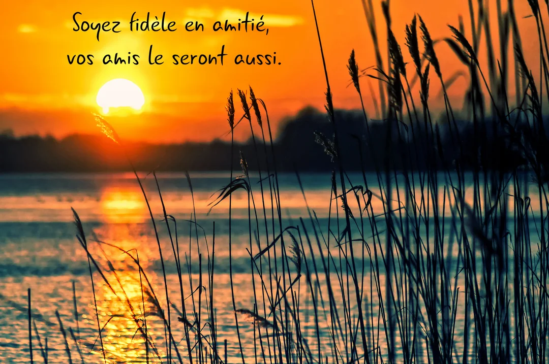 Un paysage de coucher de soleil orange sur un lac, avec des silhouettes de roseaux au premier plan et une citation sur l'amitié.