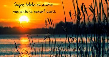 Aperçu de la carte : Soyez fidèle en amitié, vos amis le seront aussi.