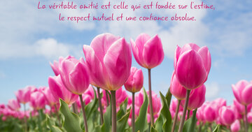 Aperçu de la carte : « La véritable amitié est fondée sur l'estime, le respect et la confiance... »