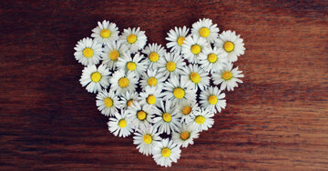 Aperçu de la carte : Sous le nom d'amitié, l'amour entre dans l'âme.