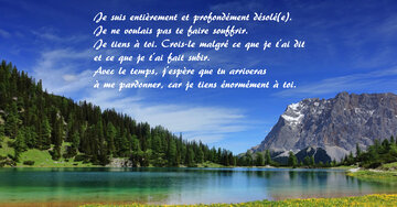 Aperçu de la carte : « Je suis entièrement et profondément désolé(e). Je ne voulais pas te faire souffrir... »