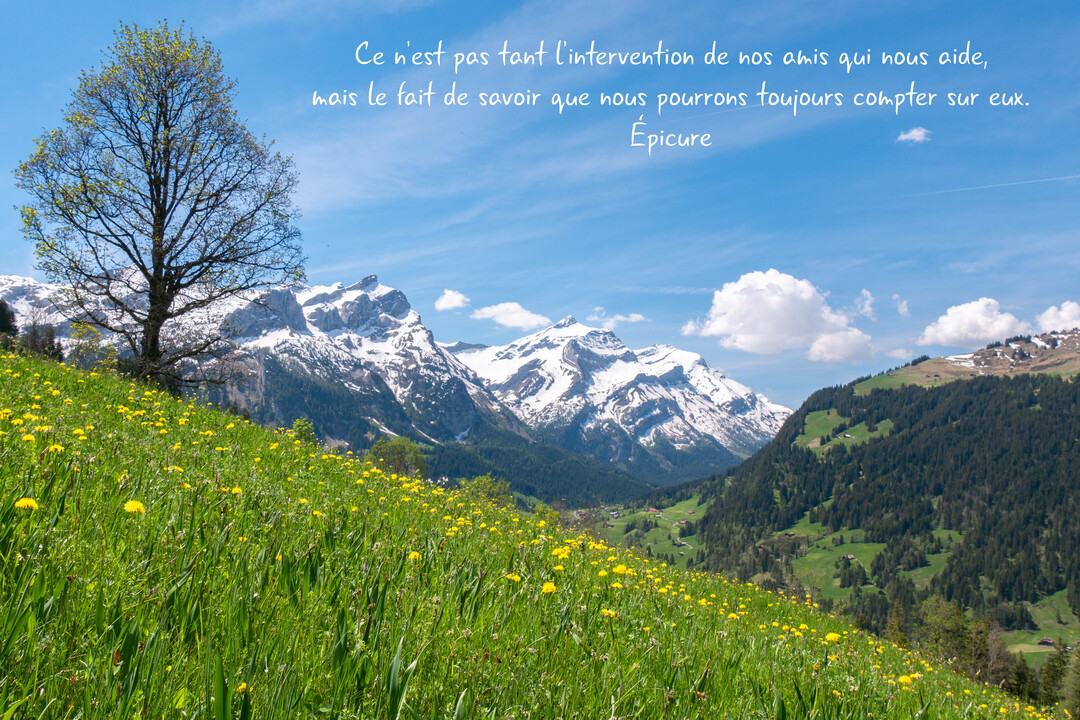 Une citation d'Épicure sur l'amitié est superposée à un paysage de montagne ensoleillé, avec une prairie fleurie au premier plan.