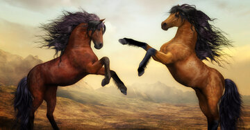 Aperçu de la carte : « Une amitié qui dure et ne vieillit pas... »