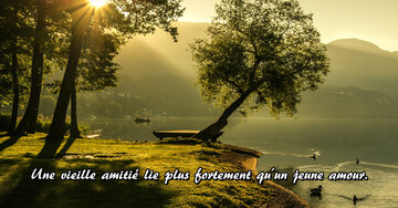 Aperçu de la carte : Une vieille amitié lie plus fortement qu'un jeune amour.