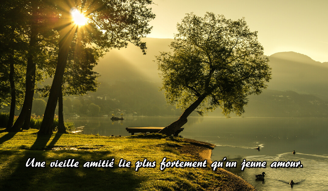Paysage apaisant d'un lac et de montagnes au soleil levant, avec un banc vide près d'un arbre sur la rive herbeuse.