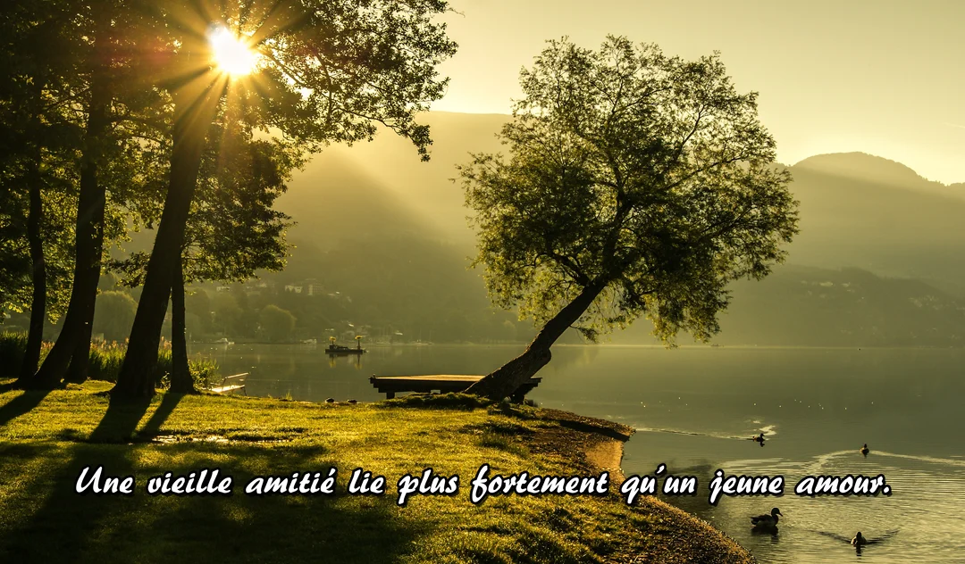 Paysage apaisant d'un lac et de montagnes au soleil levant, avec un banc vide près d'un arbre sur la rive herbeuse.