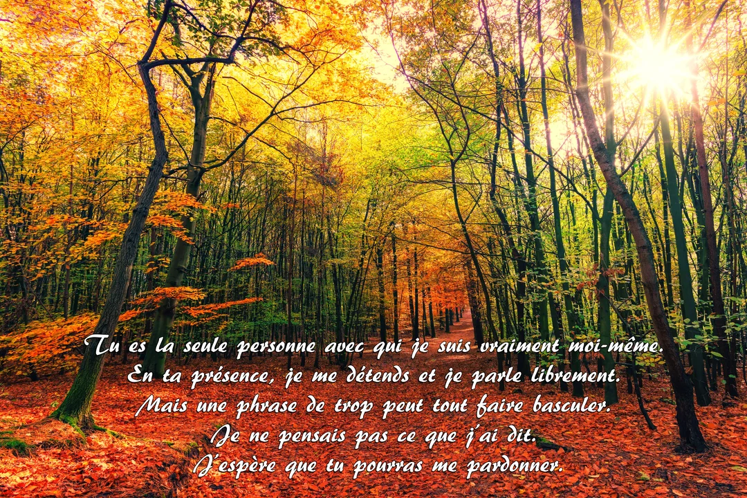 Un chemin forestier couvert de feuilles rousses en automne, baigné par la lumière dorée du soleil perçant à travers les arbres.