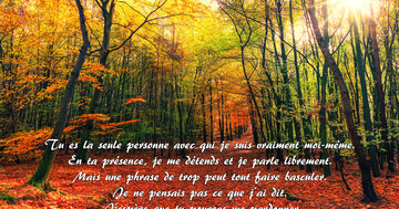 Aperçu de la carte : « Je ne pensais pas ce que j'ai dit. J'espère que tu pourras me pardonner... »