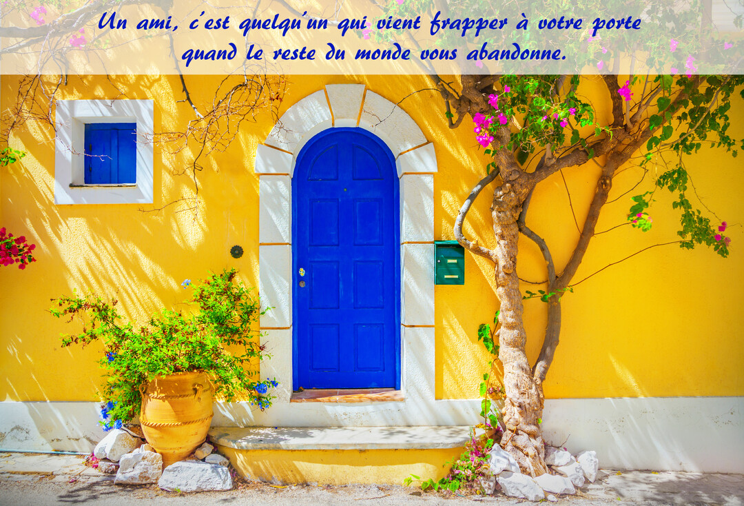 Une scène ensoleillée montrant la façade jaune vif d'une maison avec une porte et des volets bleus, entourée de plantes fleuries.