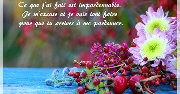 Aperçu de la carte : « Ce que j'ai fait est impardonnable. Je m'excuse et je... »