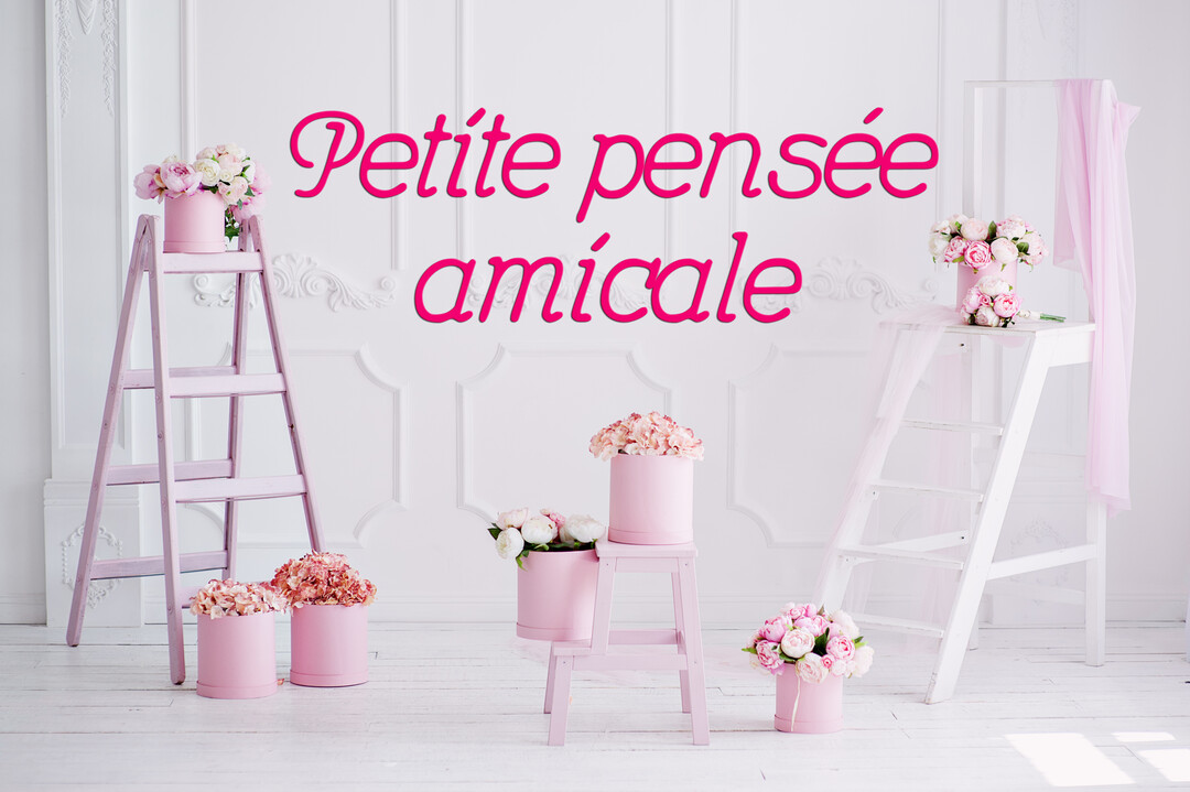 Une scène intérieure lumineuse présente des escabeaux et boîtes roses ornés de bouquets de pivoines devant un mur blanc à moulures.