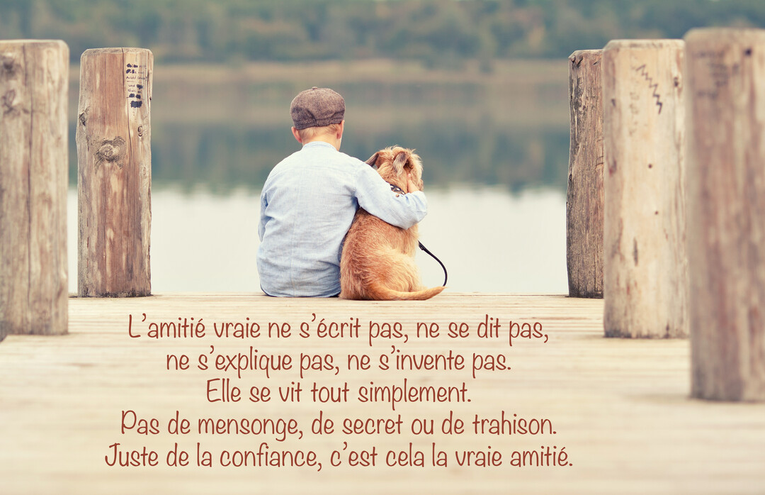 De dos, un jeune garçon portant une casquette enlace son chien de type terrier, tous deux assis au bout d'un ponton en bois face à un lac.