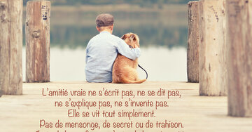 Aperçu de la carte : « L'amitié vraie ne s'écrit pas, ne se dit pas... elle se vit tout simplement... »