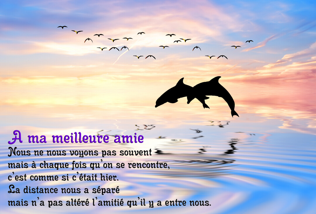 Deux silhouettes de dauphins sautent ensemble au-dessus de l'eau calme, sous un ciel de crépuscule coloré où volent des oiseaux.