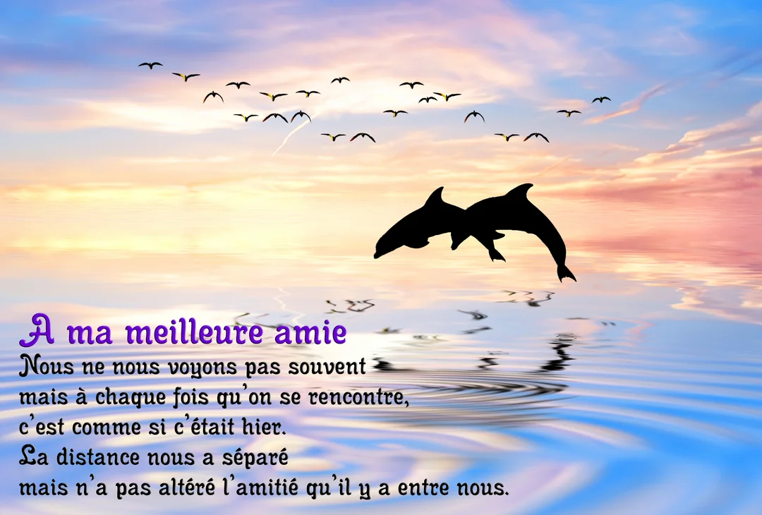 Deux silhouettes de dauphins sautent ensemble au-dessus de l'eau calme, sous un ciel de crépuscule coloré où volent des oiseaux.