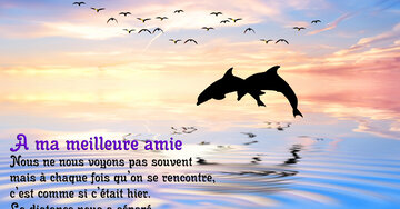 Aperçu de la carte : « Nous ne nous voyons pas souvent mais notre amitié reste intacte... »