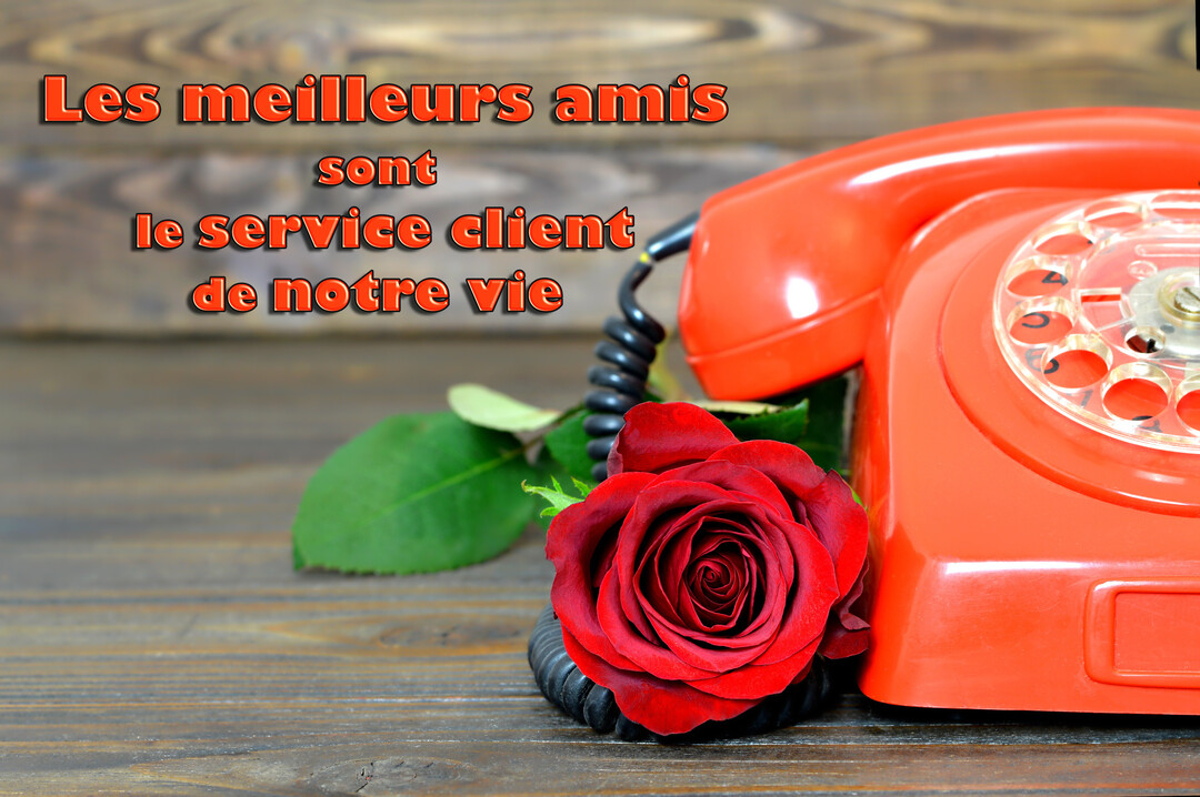 Un vieux téléphone rouge à cadran posé sur une table en bois, avec une rose rouge enroulée autour de son fil noir torsadé.