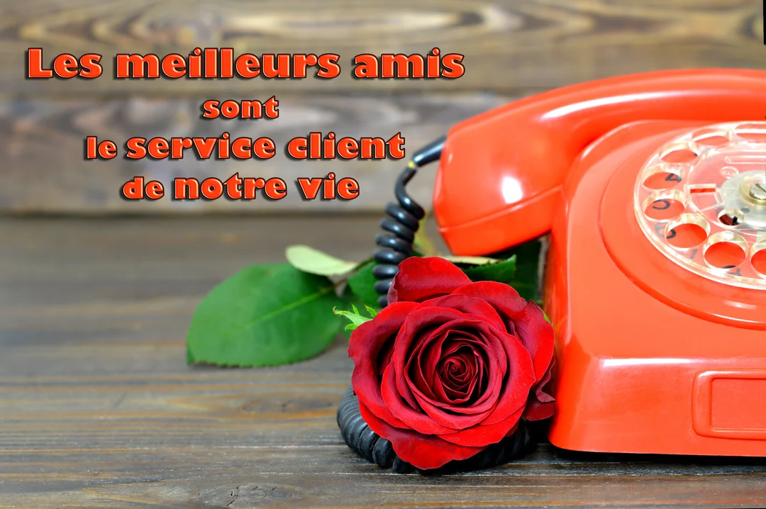Un vieux téléphone rouge à cadran posé sur une table en bois, avec une rose rouge enroulée autour de son fil noir torsadé.