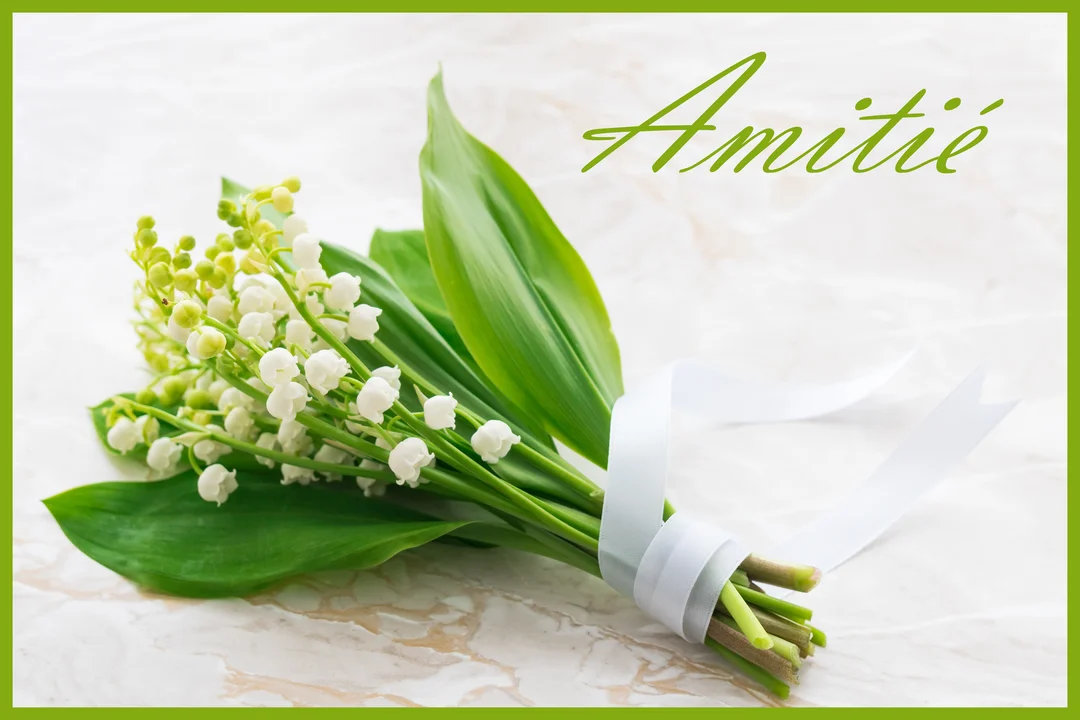 Un petit bouquet de muguet aux clochettes blanches et feuilles vertes, lié par un ruban blanc, est posé sur une surface en marbre.