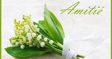 Aperçu de la carte : Amitié