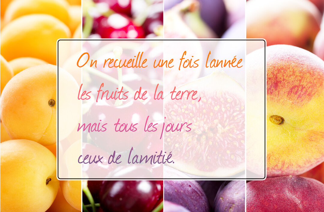 Un collage de photographies de fruits colorés, comme des abricots et des cerises, surmonté d'une citation poétique sur l'amitié.