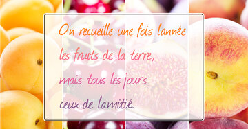 Aperçu de la carte : « On recueille les fruits de la terre une fois l'an, mais ceux de l'amitié... »