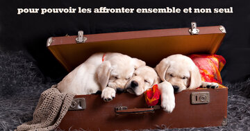 Aperçu de la carte : « Les meilleurs amis font de tes problèmes les leurs pour les affronter ensemble... »