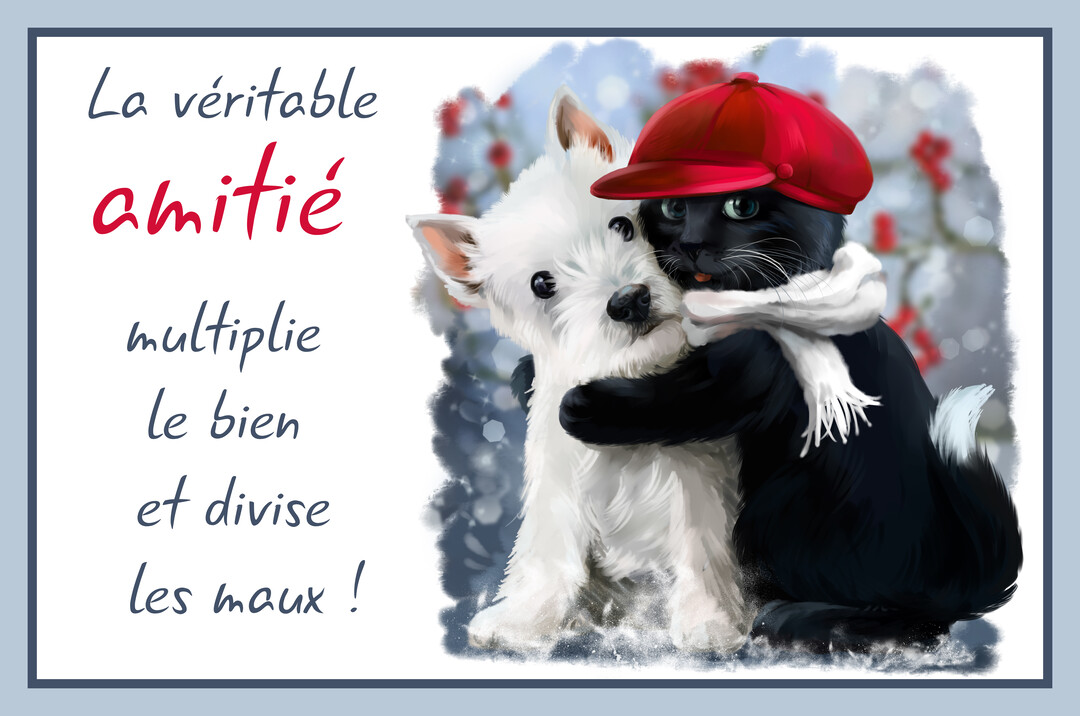 Un chat noir portant une casquette rouge et une écharpe blanche enlace tendrement un petit chien blanc de type Westie dans la neige.