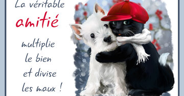 Aperçu de la carte : La 
véritable 
amitié 
multiplie 
le bien 
et divise
 les maux !