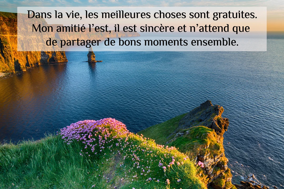 Vue depuis une falaise verdoyante ornée de fleurs roses, dominant une mer bleue calme avec un piton rocheux au loin sous la lumière du crépuscule.