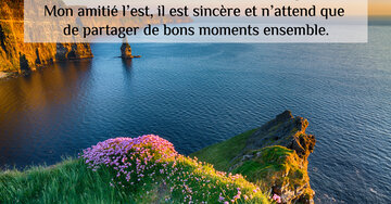 Aperçu de la carte : « Dans la vie, les meilleures choses sont gratuites. Mon amitié l'est, il est sincère... »