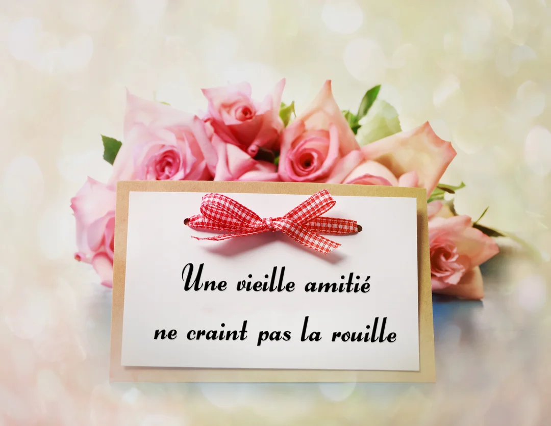 Un bouquet de roses roses est posé derrière une carte portant le message manuscrit 'Une vieille amitié ne craint pas la rouille'.