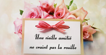 Aperçu de la carte : Une vieille amitié
ne craint pas la rouille