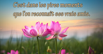 Aperçu de la carte : « Dans les pires moments, on reconnaît ses vrais amis... »