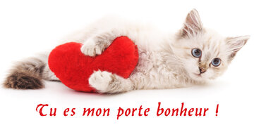 Aperçu de la carte : Tu es mon porte bonheur !