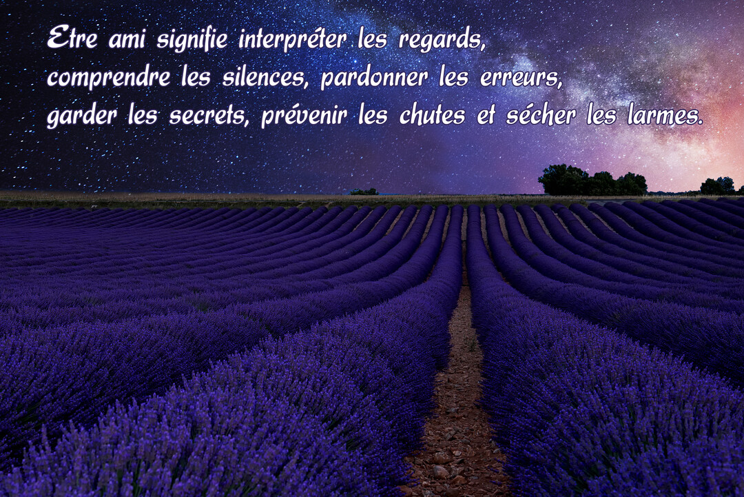 Un champ de lavande en rangées s'étend sous un ciel nocturne scintillant d'étoiles et de nébuleuses, avec une citation sur l'amitié.