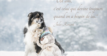 Aperçu de la carte : Un ami, c'est celui qui devine toujours quand on a besoin de lui.