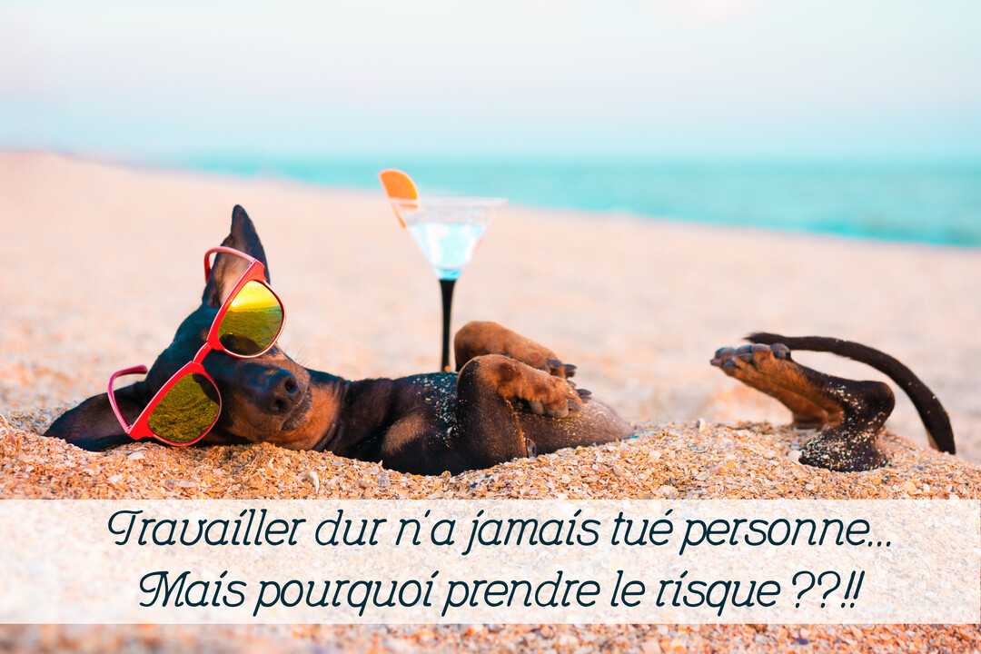 Un petit chien noir et feu est allongé sur le dos sur une plage de sable, portant des lunettes de soleil rouges, avec un cocktail à côté.