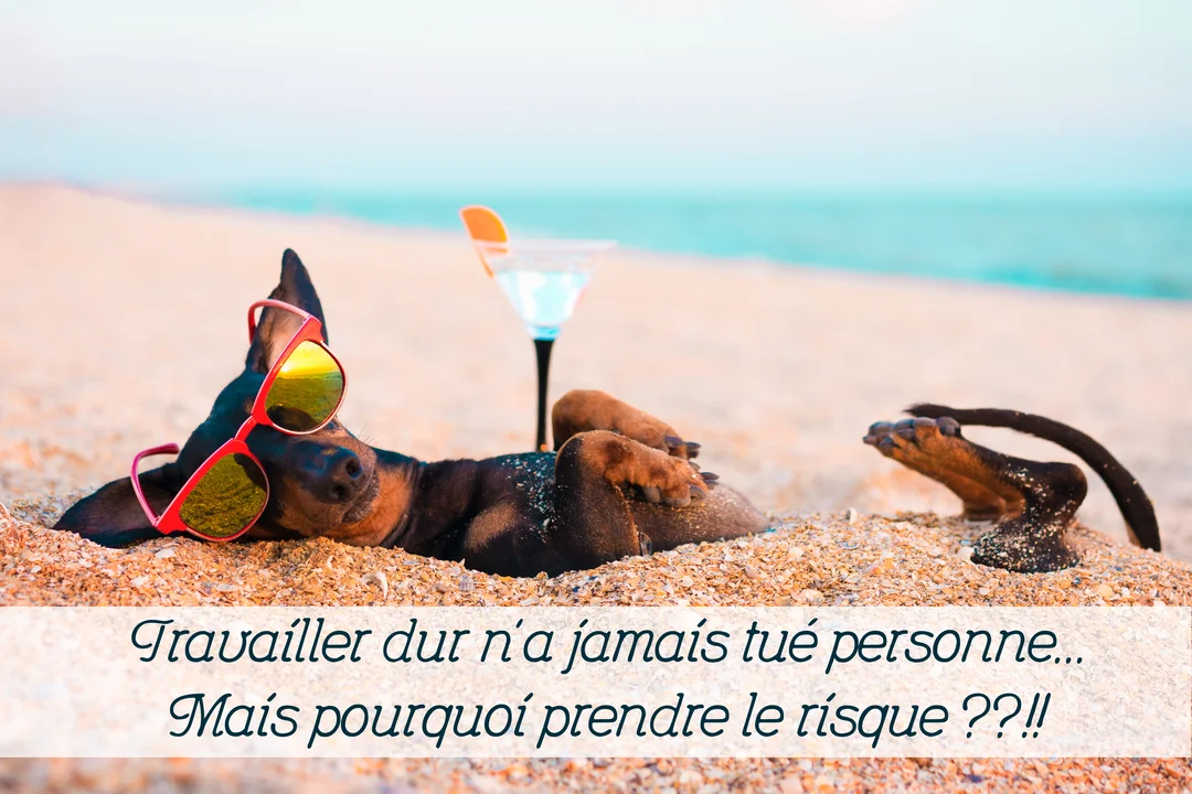 Un petit chien noir et feu est allongé sur le dos sur une plage de sable, portant des lunettes de soleil rouges, avec un cocktail à côté.