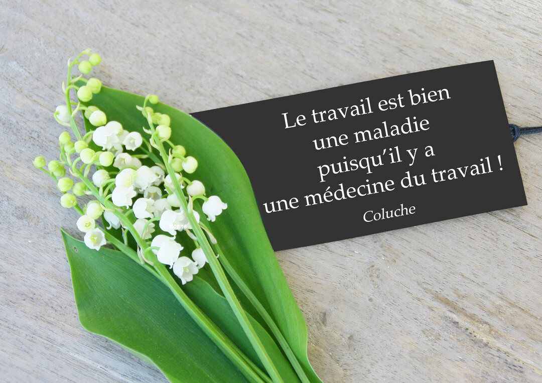 Sur une surface en bois clair, un bouquet de muguet frais est posé à côté d'une étiquette noire portant une citation humoristique.