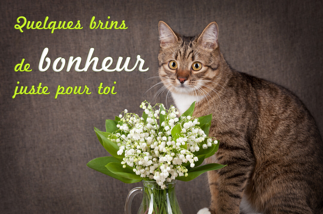 Un chat tigré aux grands yeux est assis à côté d'un bouquet de muguet dans un vase, sur un fond texturé marron.