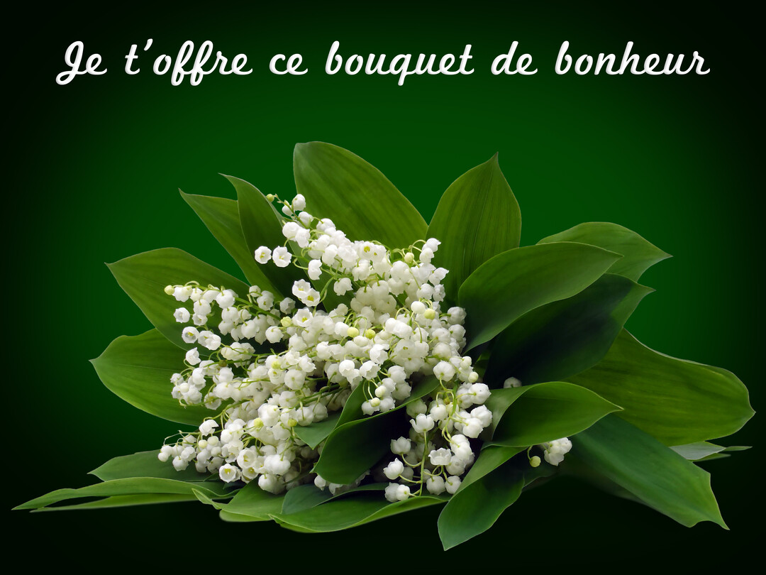 Un généreux bouquet de muguet avec ses clochettes blanches et ses larges feuilles vertes, sur un fond dégradé vert foncé.