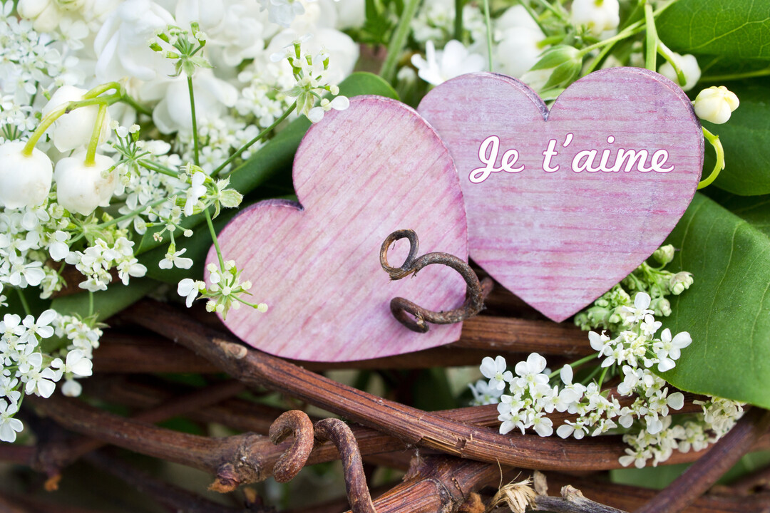 Gros plan sur deux cĆurs en bois rose reposant sur des branchages et des fleurs blanches, l'un portant l'inscription 'Je t'aime'.
